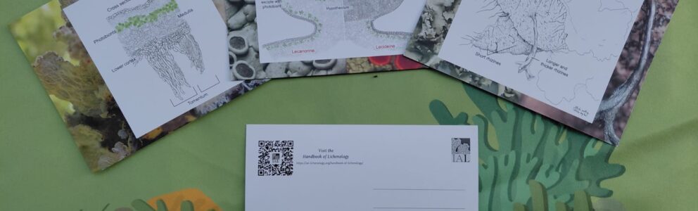 IAL postcards kit