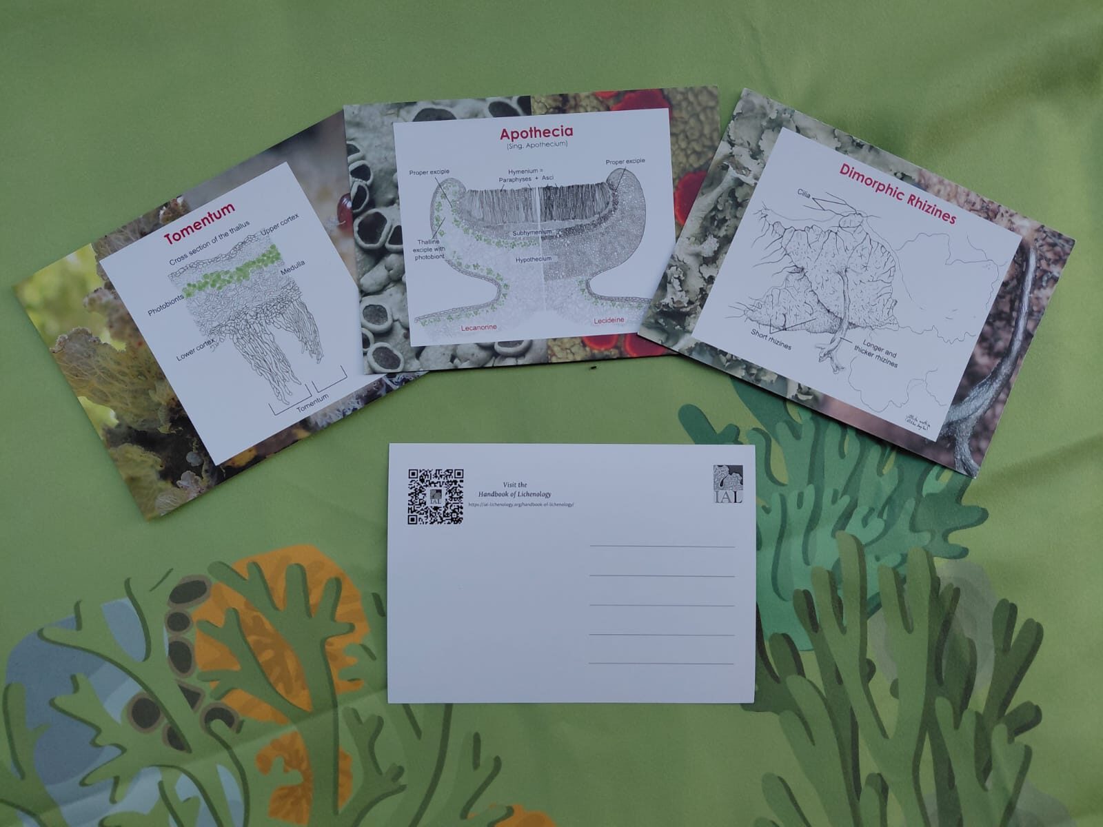 IAL postcards kit